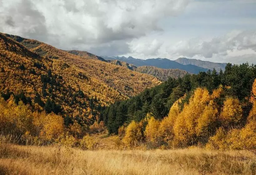 پانسیون Agra Ushguli