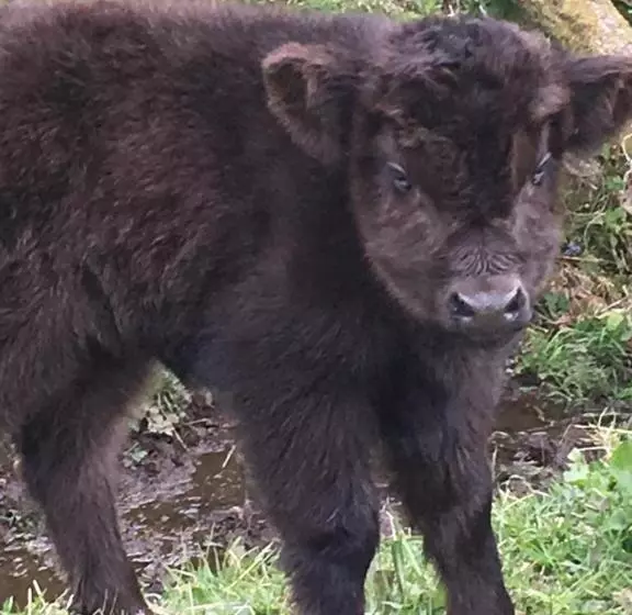 The Greannan Bed & Breakfast