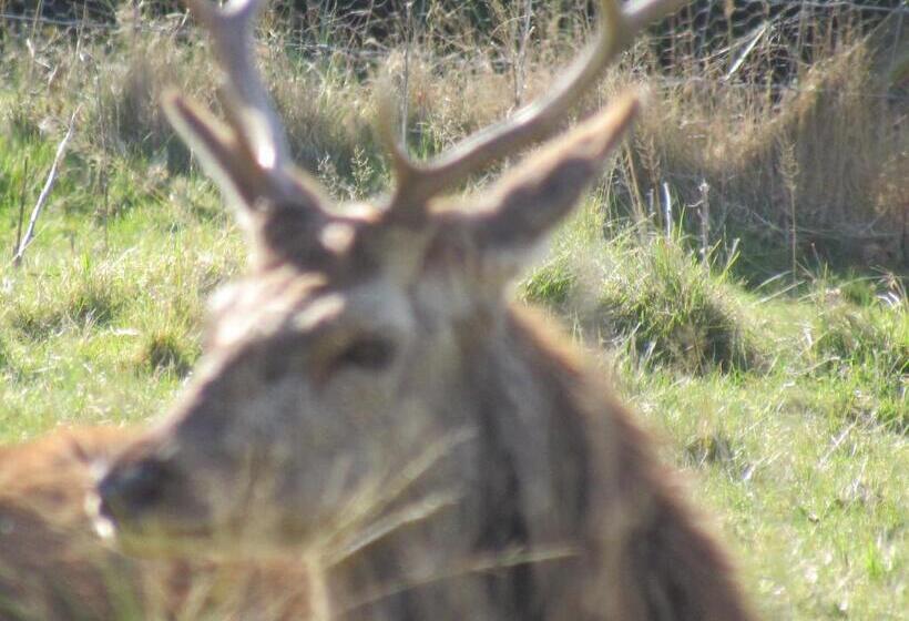 The Greannan Bed & Breakfast