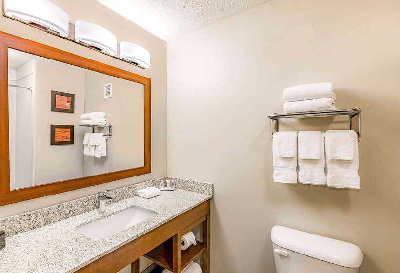 호텔 Comfort Inn Altoonades Moines