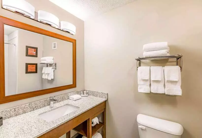 Hotelli Comfort Inn Altoonades Moines