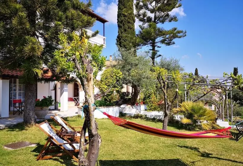 Gina Studios