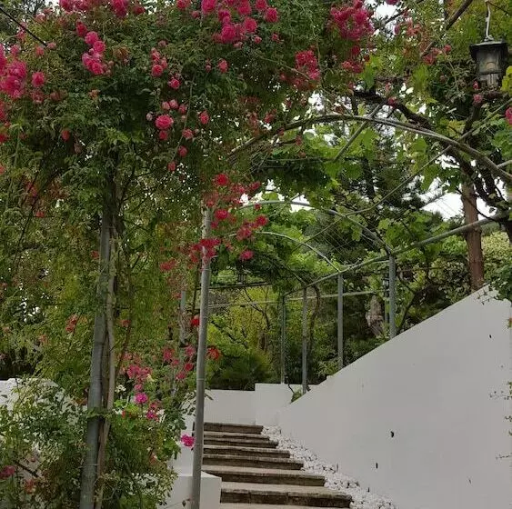 Gina Studios