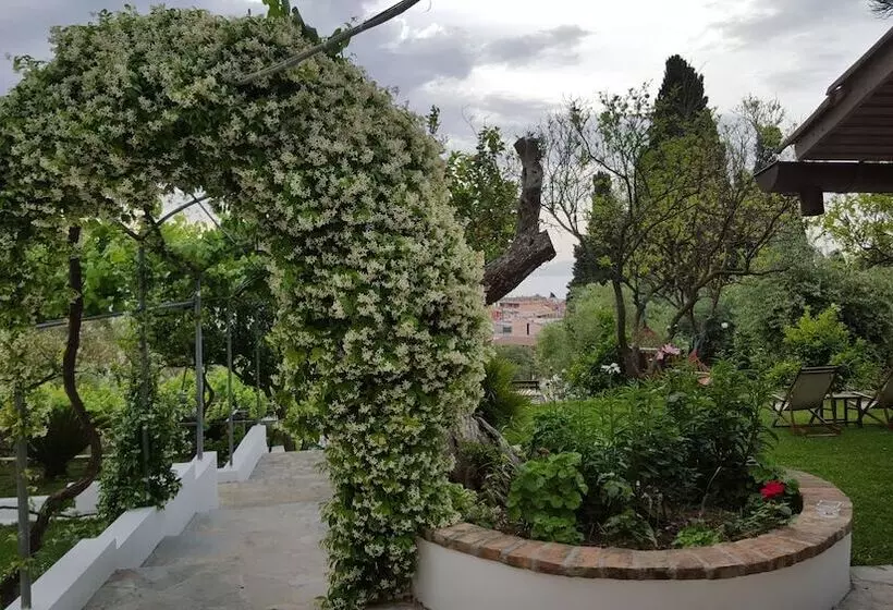 Gina Studios