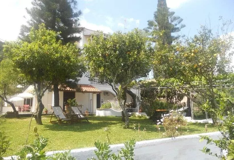 Gina Studios