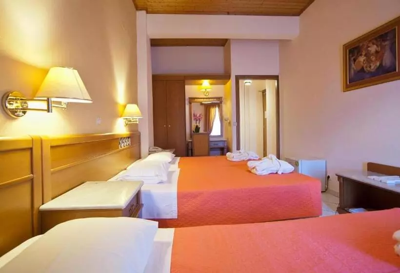 호텔 Acropole Delphi City