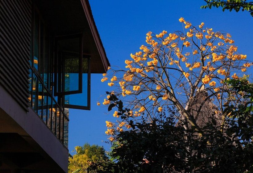 בית מלון כפרי Belle Villa Resort Pai