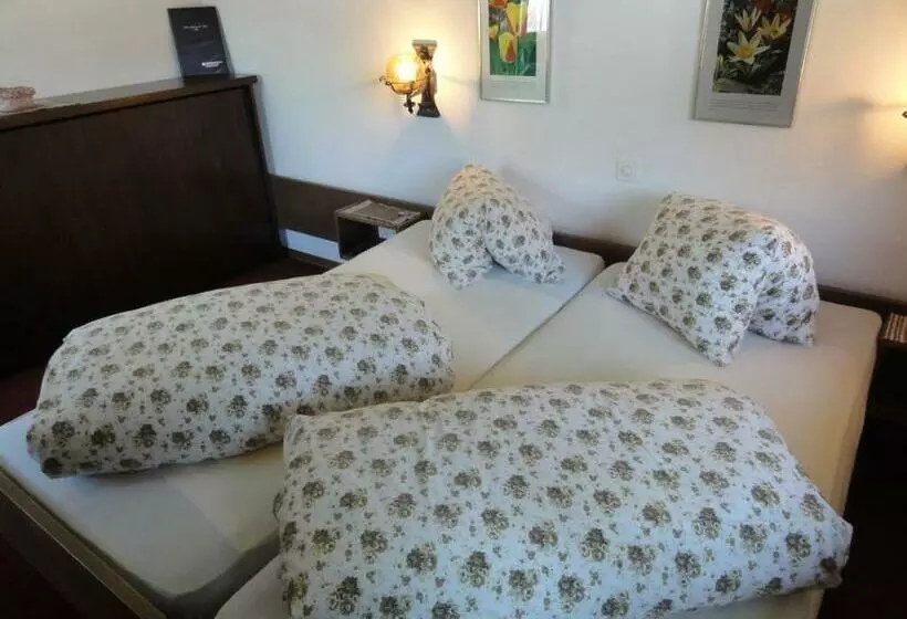 酒店 Gasthof Tenne