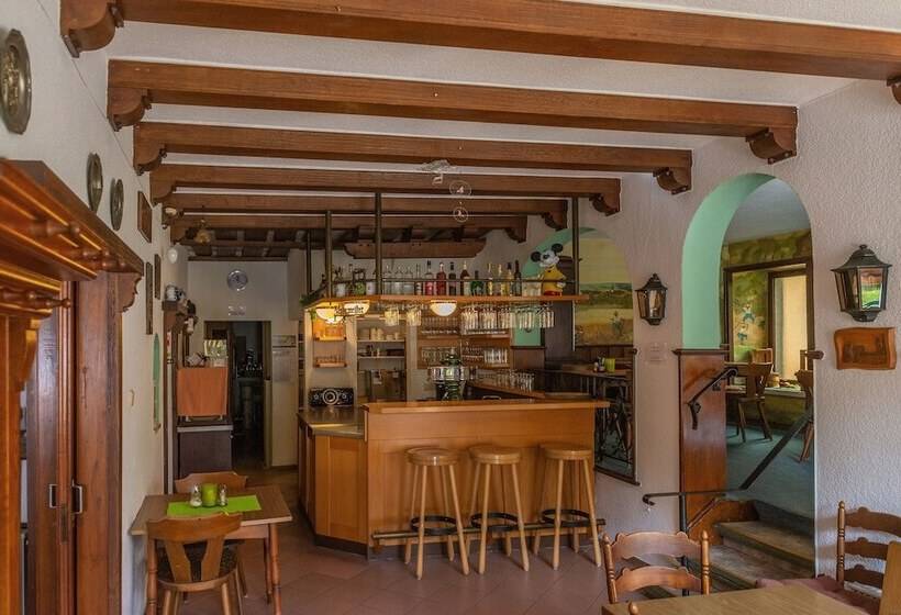 Mühlen Hotel Konschake