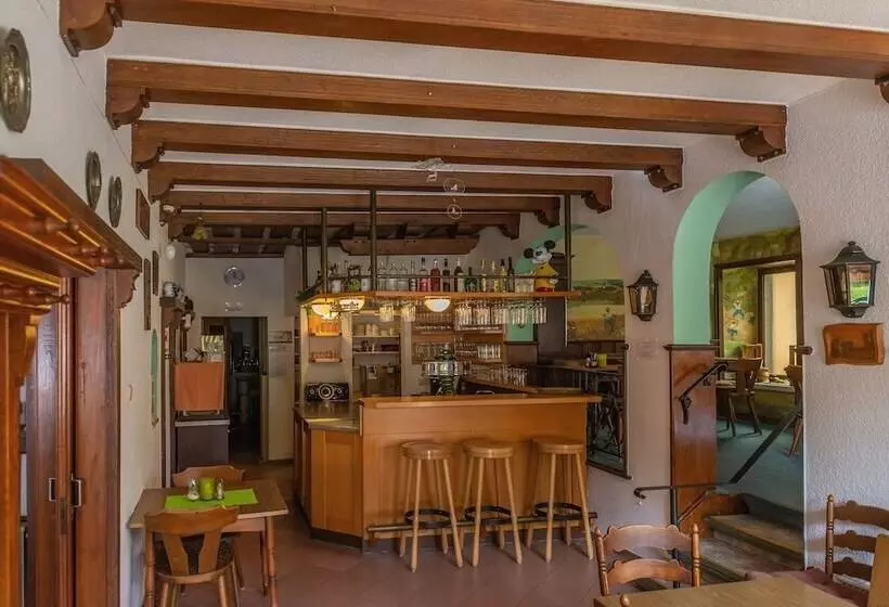 Mühlen Hotel Konschake