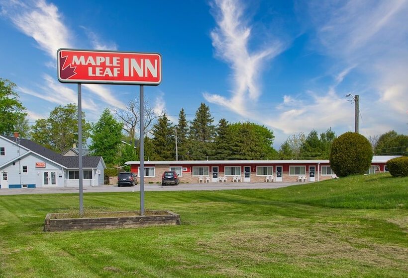 酒店 Maple Leaf Inn