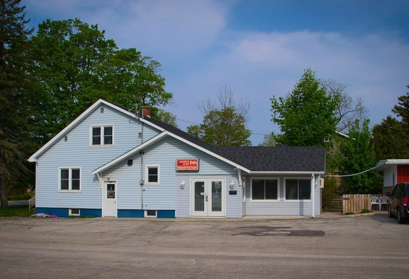 酒店 Maple Leaf Inn