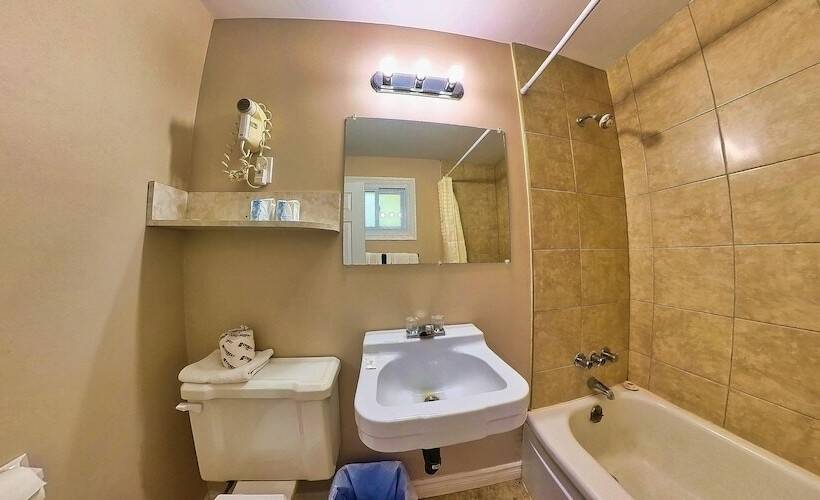 酒店 Maple Leaf Inn