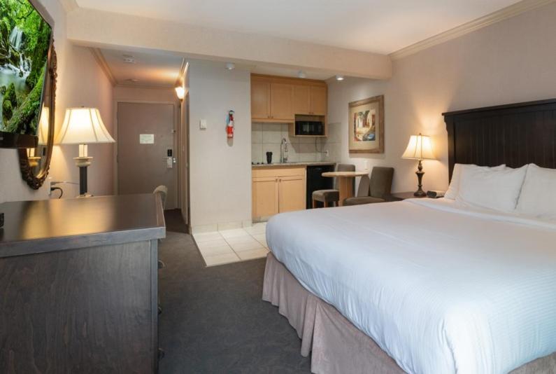 בית מלון כפרי Prestige Inn Nelson