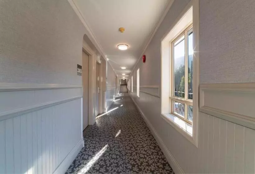 בית מלון כפרי Prestige Inn Nelson