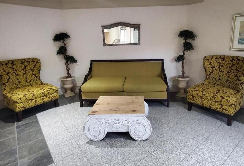 בית מלון כפרי Prestige Inn Nelson