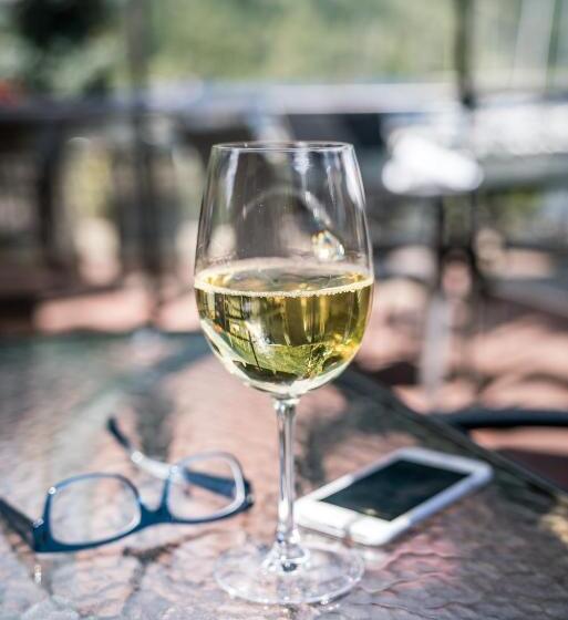 בית מלון כפרי Prestige Inn Nelson