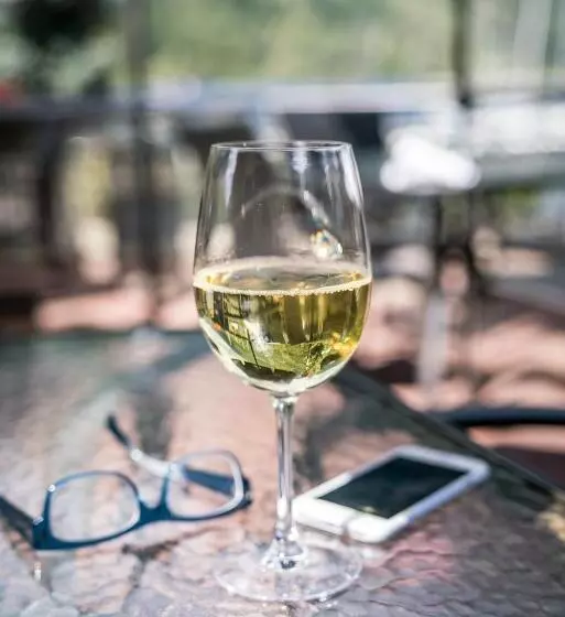 בית מלון כפרי Prestige Inn Nelson