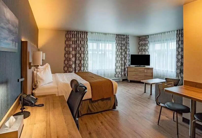 هتل Quality Suites