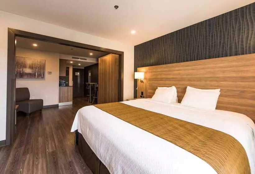 هتل Quality Suites