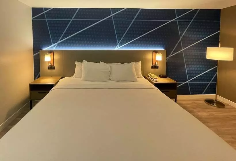 Отель Comfort Inn & Suites Salt Lake City I 80 I 15 Downtown