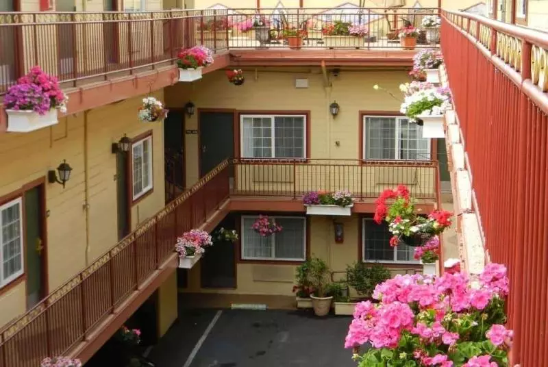 בית מלון כפרי Signature Inn San Francisco Marina District