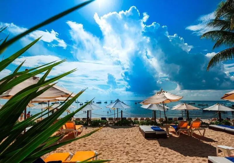 호텔 The Reef Coco Beach