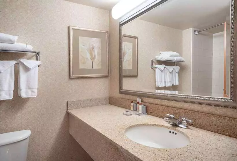 Otel Wingate By Wyndham Charlotte Airport