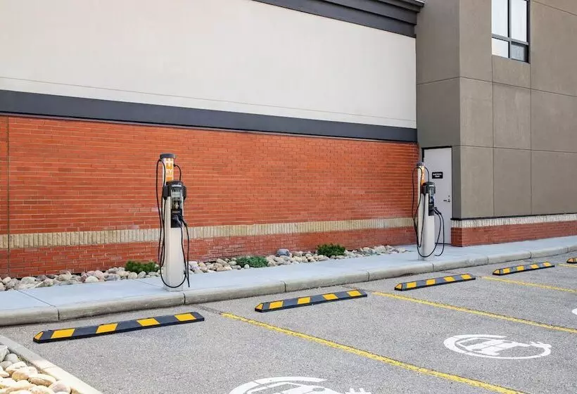 모텔 Canalta Cochrane