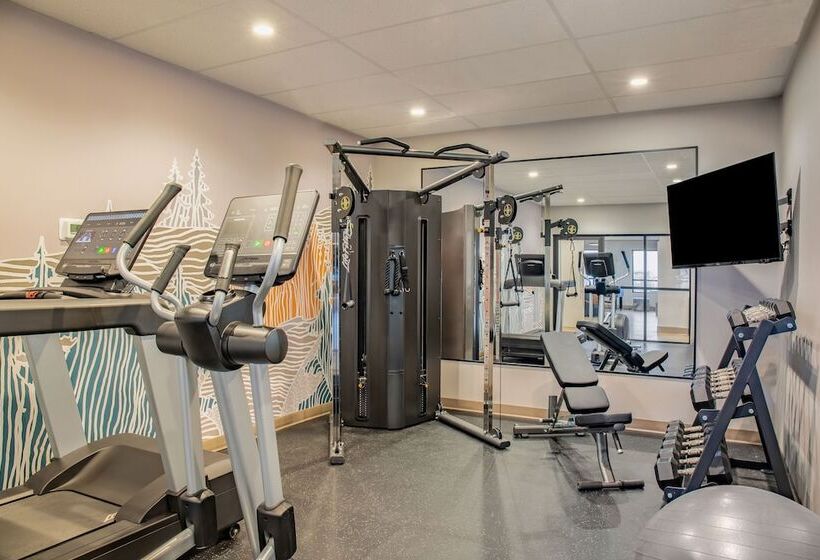 Motel Canalta Cochrane