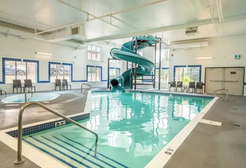 모텔 Canalta Cochrane