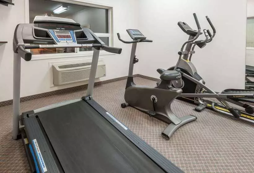 汽车旅馆 Super 8 By Wyndham Edmonton/west