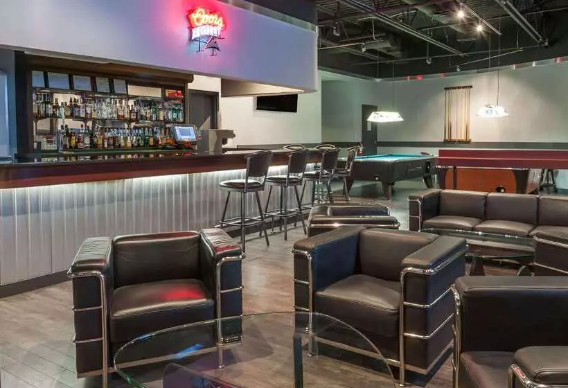 汽车旅馆 Super 8 By Wyndham Edmonton/west