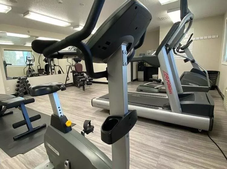 فندق على الطريق Super 8 By Wyndham Grande Prairie