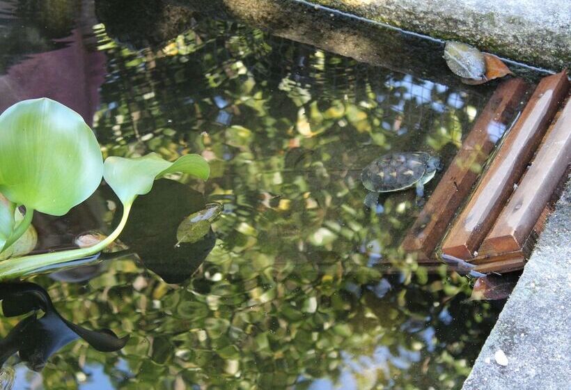 Excellent Cottage In Santa Comba With Communal Swimming Pool