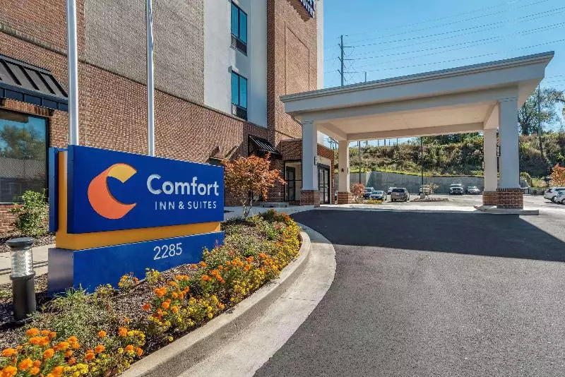 ホテル Comfort Inn & Suites Downtown Near University