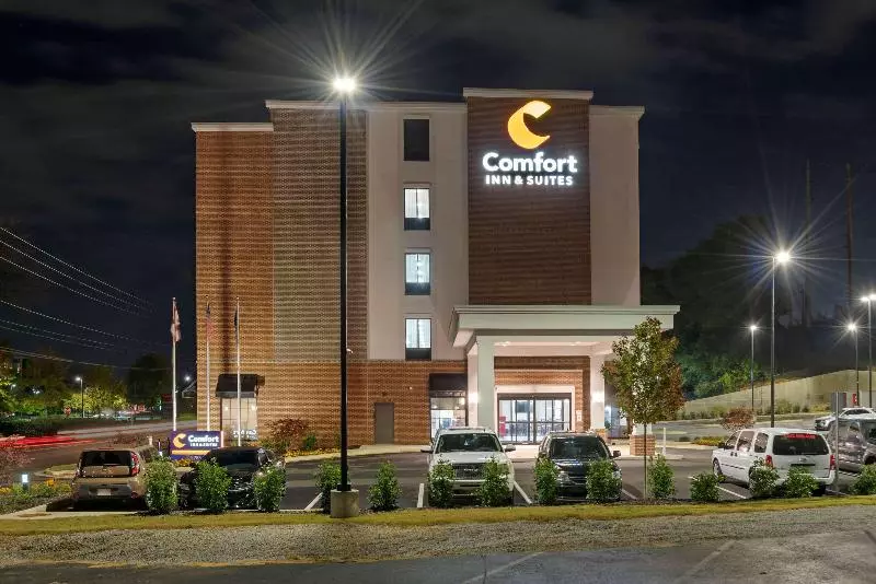 ホテル Comfort Inn & Suites Downtown Near University