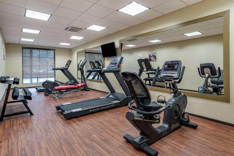 ホテル Comfort Inn & Suites Downtown Near University