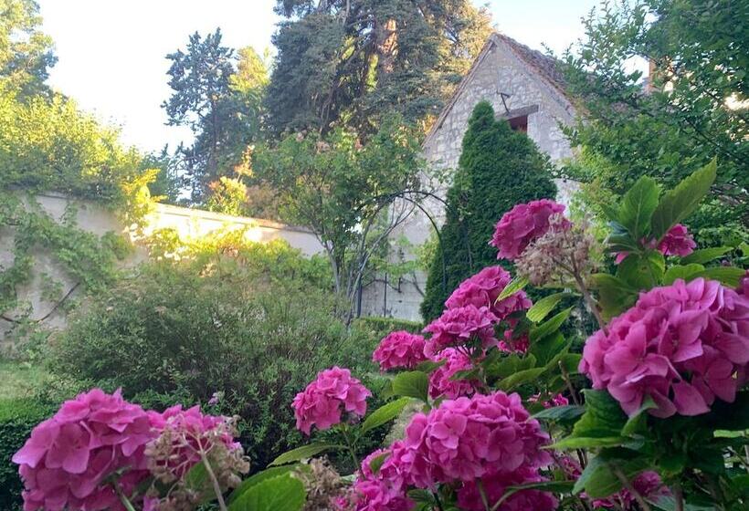 Pensione Chambres D Hôtes Au Bord Du Cher Avec Vue Sur Le Château