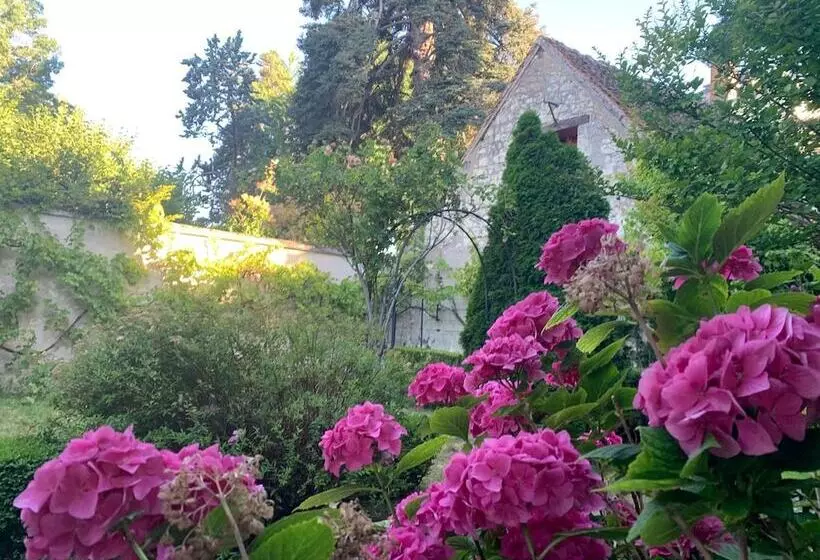 پانسیون Chambres D Hôtes Au Bord Du Cher Avec Vue Sur Le Château