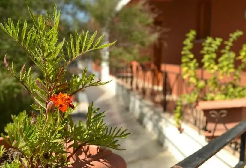 پانسیون Guest House Natura