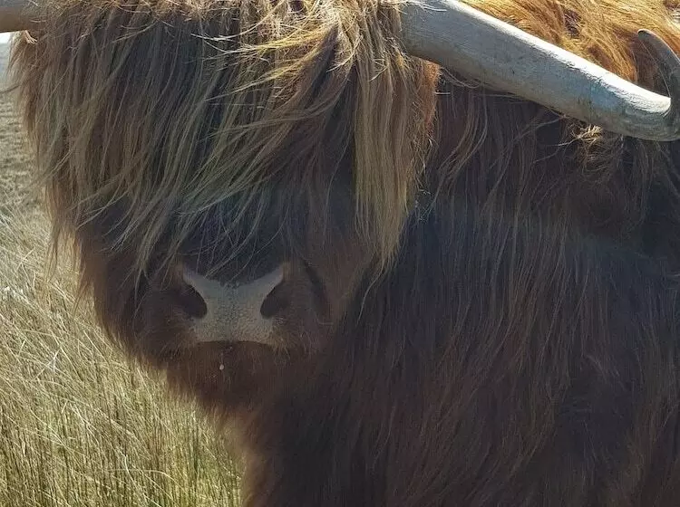 Pleasant Point Holiday Cottages