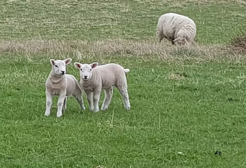Pleasant Point Holiday Cottages