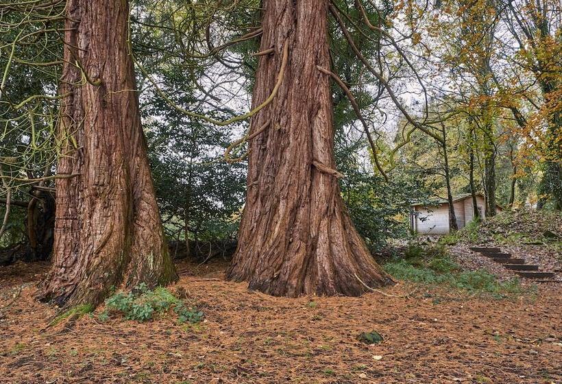 Punch Tree Lodge For Couples, Wood Burning Hot Tub