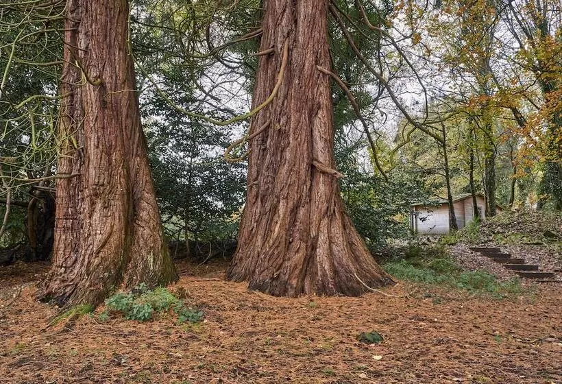 Punch Tree Lodge For Couples, Wood Burning Hot Tub