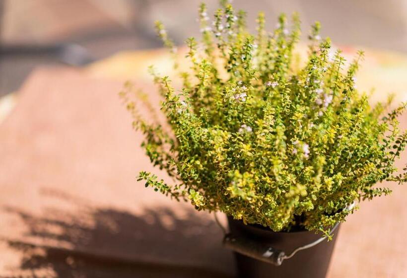 Appartements Lenzenhof