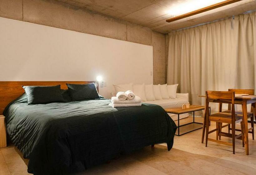 Ara Homes Buenos Aires