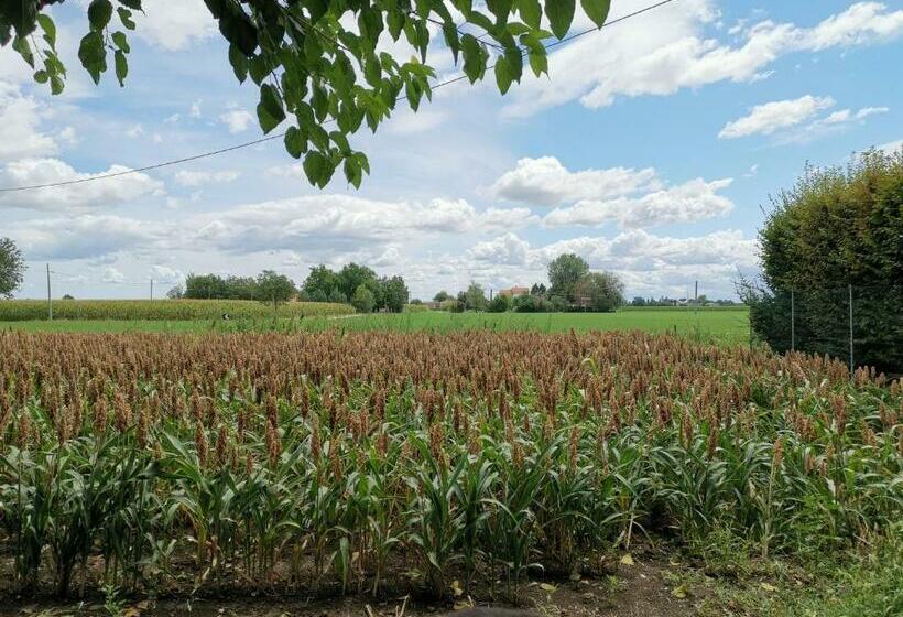 Bed and Breakfast Casa Flosa Room & Breakfast