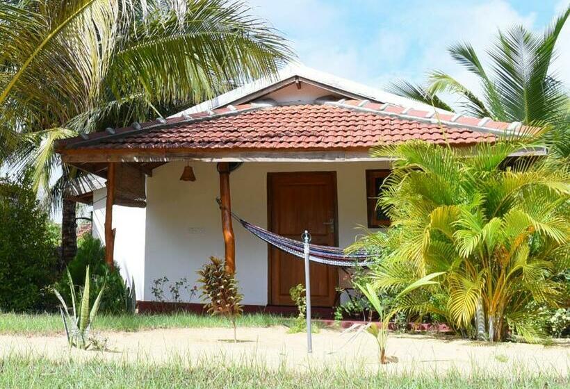 渡假胜地  Prime Surfers Bungalow