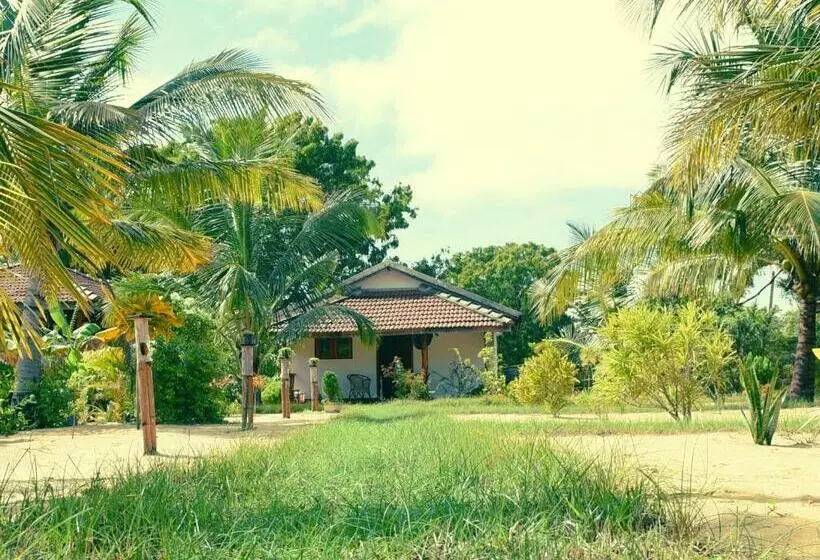 Lomakeskus Prime Surfers Bungalow